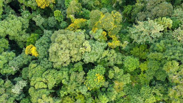 Explorez vos fantasmes en toute discrétion avec le téléphone rose